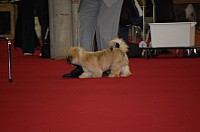 DSC_8814.jpg DSC_8814.jpg