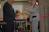 DSC_8815.jpg DSC_8815.jpg