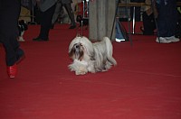 DSC_8826.jpg DSC_8826.jpg