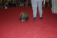 DSC_8828.jpg DSC_8828.jpg