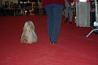 DSC_8829.jpg DSC_8829.jpg