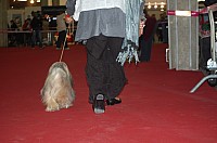 DSC_8830.jpg DSC_8830.jpg