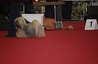 DSC_8837.jpg DSC_8837.jpg