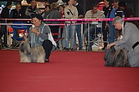 DSC_8840.jpg DSC_8840.jpg