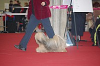 DSC_8842.jpg DSC_8842.jpg