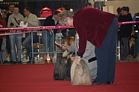 DSC_8845.jpg DSC_8845.jpg