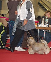 DSC_8848.jpg DSC_8848.jpg