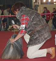 DSC_8854.jpg DSC_8854.jpg
