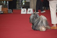 DSC_8857.jpg DSC_8857.jpg