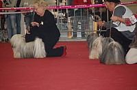 DSC_8859.jpg DSC_8859.jpg