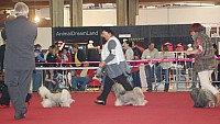 DSC_8860.jpg DSC_8860.jpg