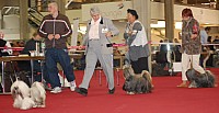 DSC_8867.jpg DSC_8867.jpg