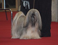 DSC_8872.jpg DSC_8872.jpg
