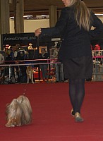 DSC_8877.jpg DSC_8877.jpg