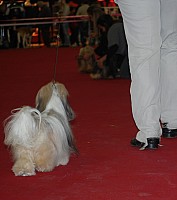 DSC_8879.jpg DSC_8879.jpg