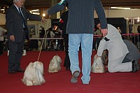 DSC_8881.jpg DSC_8881.jpg