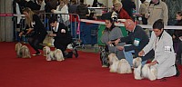 DSC_8882.jpg DSC_8882.jpg