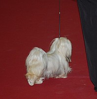 DSC_8883.jpg DSC_8883.jpg