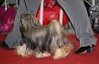 DSC_8888.jpg DSC_8888.jpg