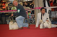 DSC_8889.jpg DSC_8889.jpg