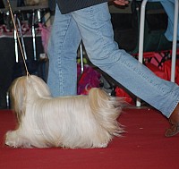 DSC_8897.jpg DSC_8897.jpg