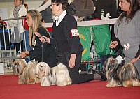 DSC_8898.jpg DSC_8898.jpg