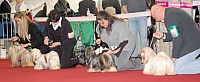 DSC_8899.jpg DSC_8899.jpg