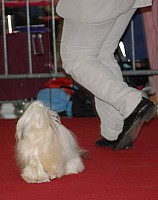 DSC_8902.jpg DSC_8902.jpg