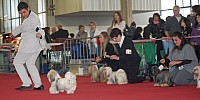 DSC_8903.jpg DSC_8903.jpg