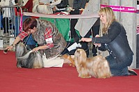 DSC_8910.jpg DSC_8910.jpg