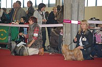 DSC_8913.jpg DSC_8913.jpg