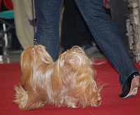 DSC_8925.jpg DSC_8925.jpg