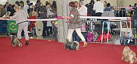 DSC_8930.jpg DSC_8930.jpg