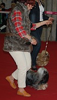 DSC_8931.jpg DSC_8931.jpg