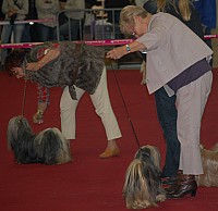 DSC_8933.jpg DSC_8933.jpg