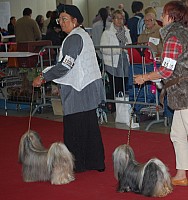 DSC_8946.jpg DSC_8946.jpg