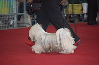 DSC_8978.jpg DSC_8978.jpg