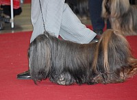 DSC_8988.jpg DSC_8988.jpg