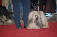 DSC_8991.jpg DSC_8991.jpg