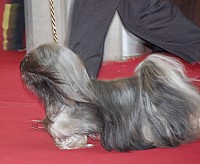 DSC_9006.jpg DSC_9006.jpg