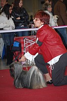 DSC_9009.jpg DSC_9009.jpg