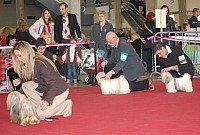 DSC_9029.jpg DSC_9029.jpg