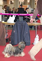 DSC_9034.jpg DSC_9034.jpg
