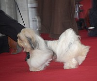 DSC_9047.jpg DSC_9047.jpg