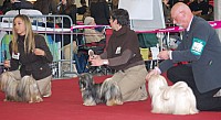 DSC_9049.jpg DSC_9049.jpg