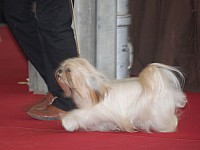 DSC_9078.jpg DSC_9078.jpg