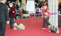 DSC_9090.jpg DSC_9090.jpg