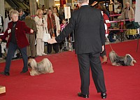 DSC_9091.jpg DSC_9091.jpg