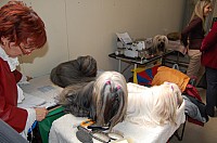 DSC_9103.jpg DSC_9103.jpg