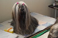 DSC_9116.jpg DSC_9116.jpg